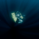 The deep-diving submarine Nadir descending in Lydonia canyon in September 2018 with scientist Tim Shank inside.